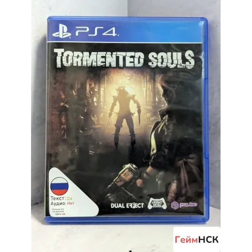 Tormented Souls PS4 (cusa-29199)