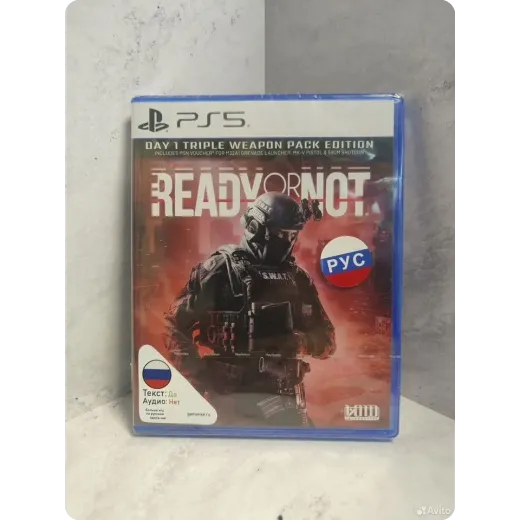 Ready or not ps5 NEW (ppsa 18605) (русские субитры