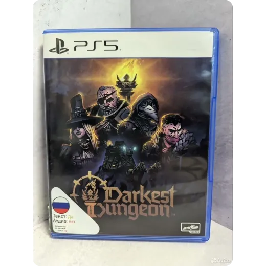 Darkest Dungeon PS5 (ppsa-19591)