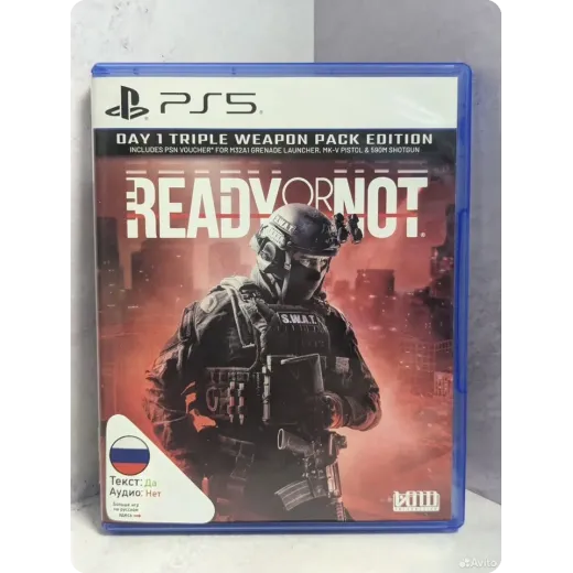 Ready or not PS5 Б/У (ppsa-18605) (русские субтитр