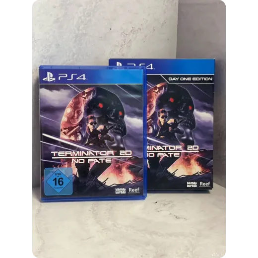 Terminator 2D PS4 Б/У (Английская версия)