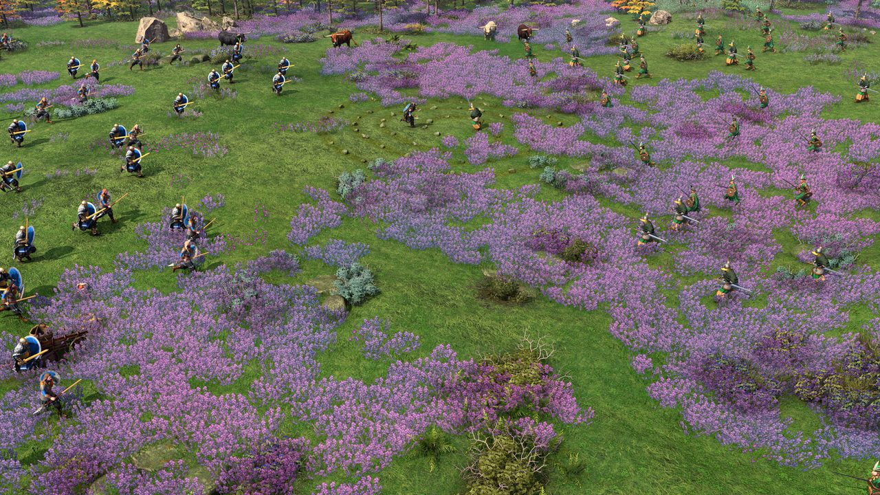 Age of Empires IV: Raiders of the North — скриншот 2