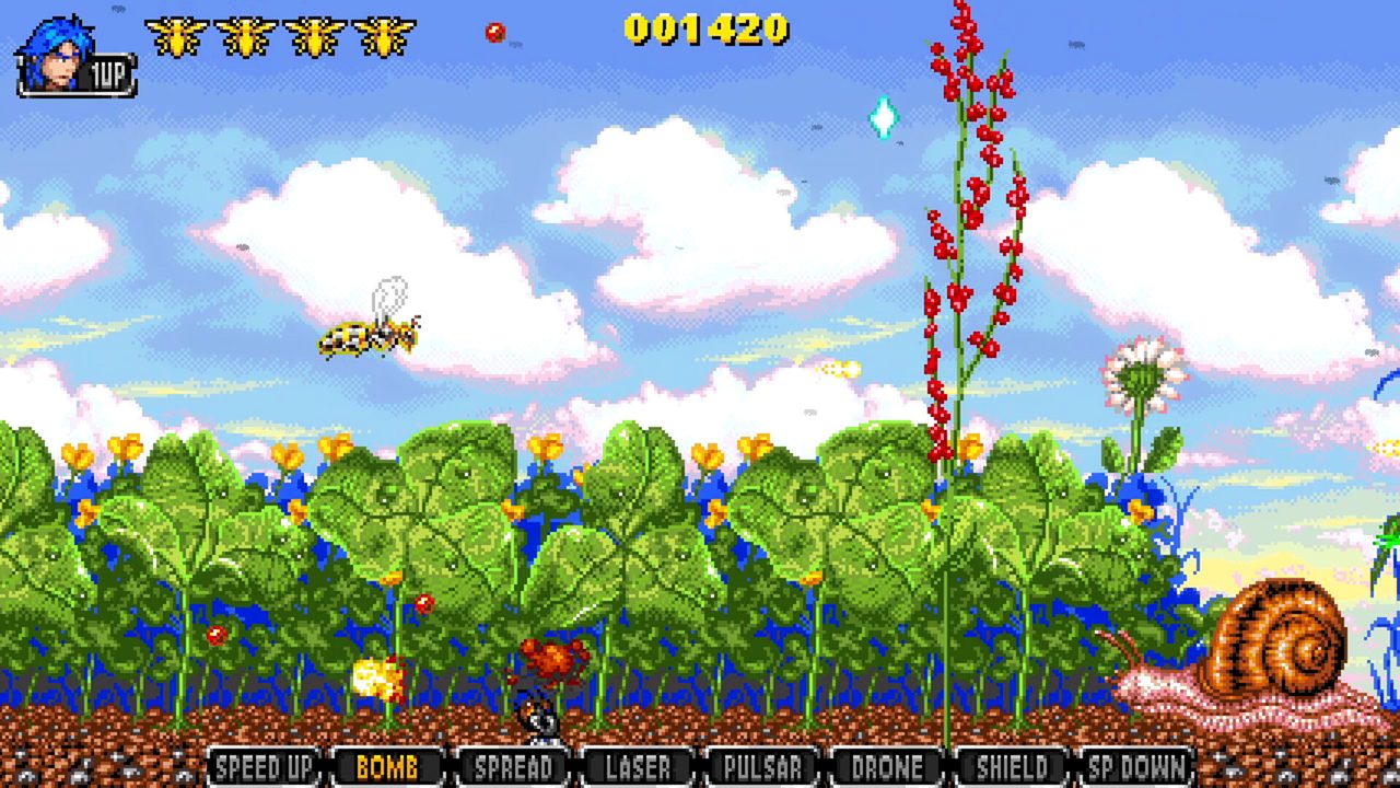 Apidya' Special — кадр из игры
