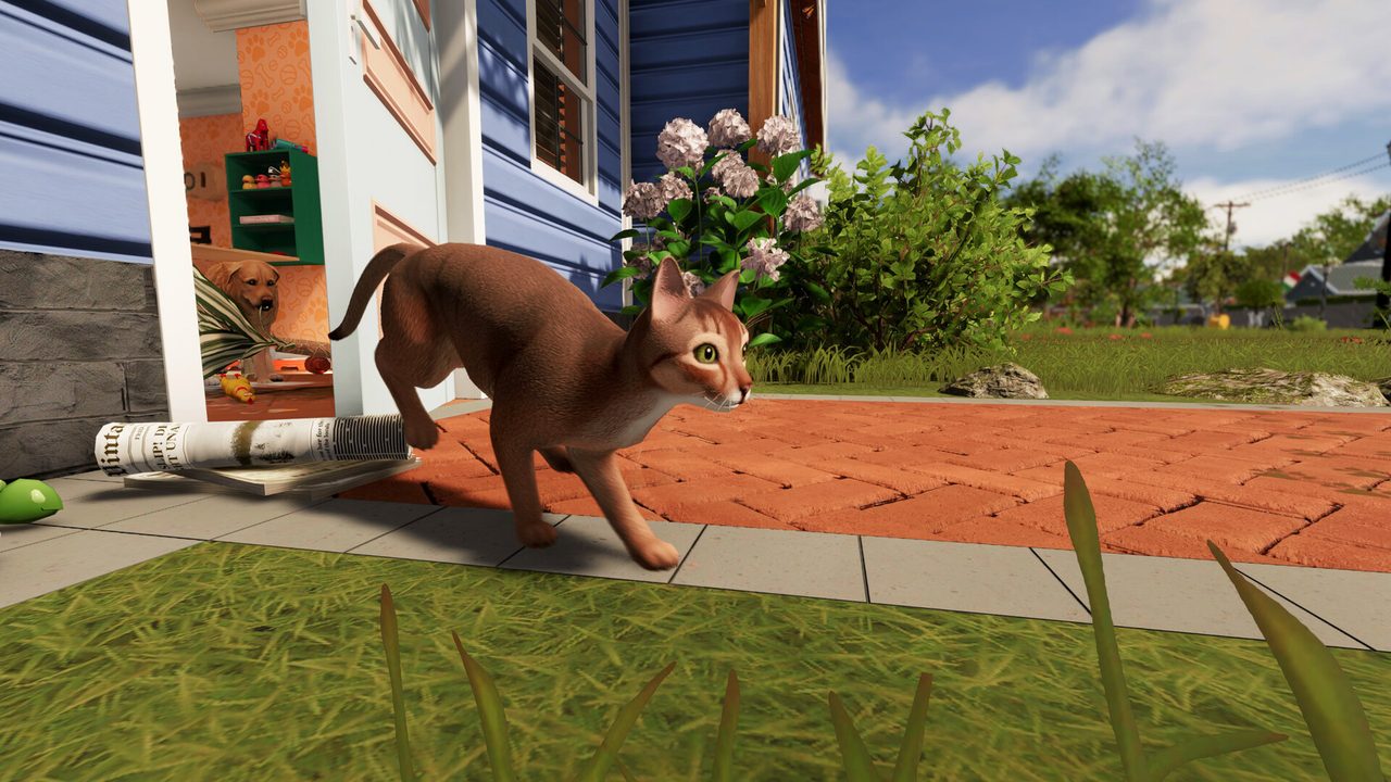 House Flipper 2 - Pets DLC — кадр из игры