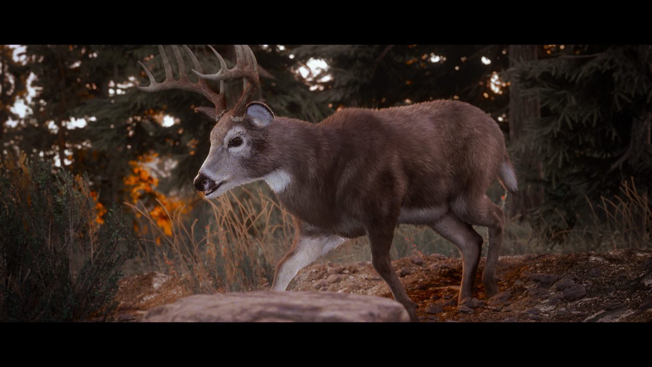 Hunting Simulator 3 — скриншот 2