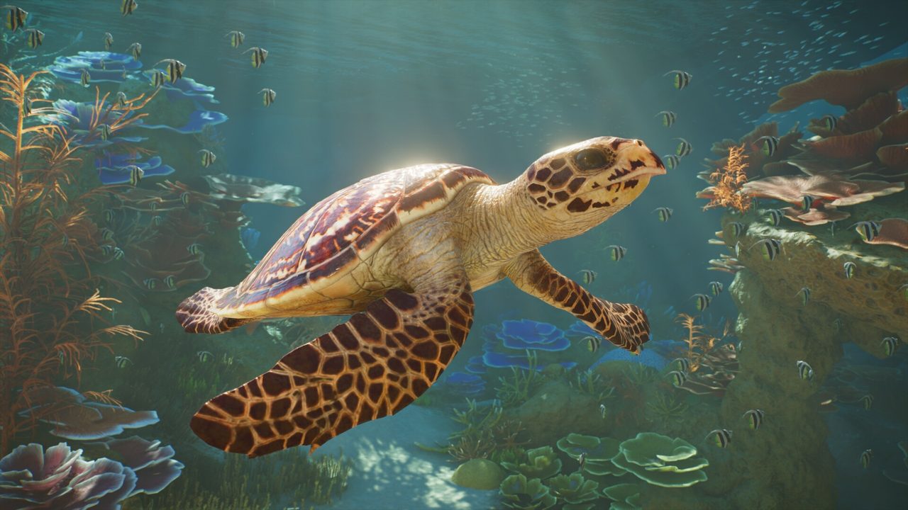 Planet Zoo 2 — скриншот 3